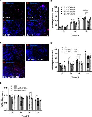 Hydrogel-based 3D human iPSC-derived neuronal culture for the study of rabies virus infection